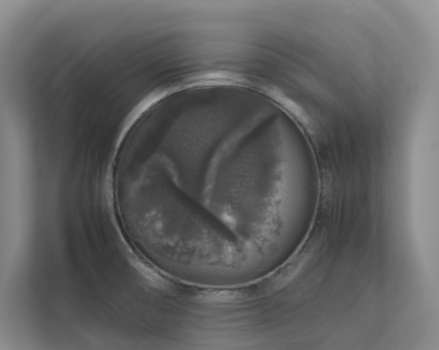 X0000112751474200908201407