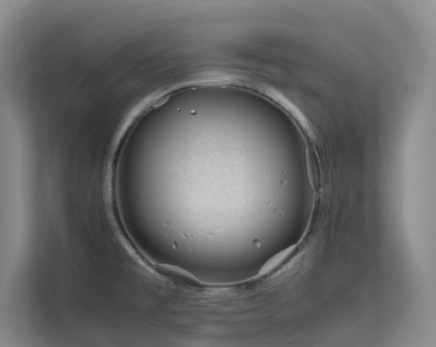 X0000112751477200908201407