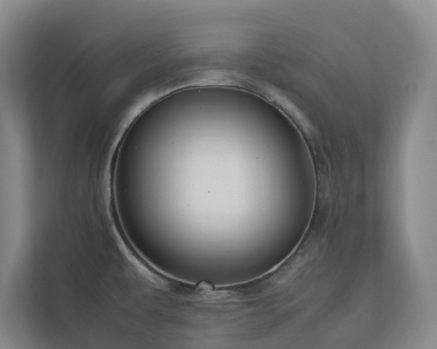 X0000112751479200908201407