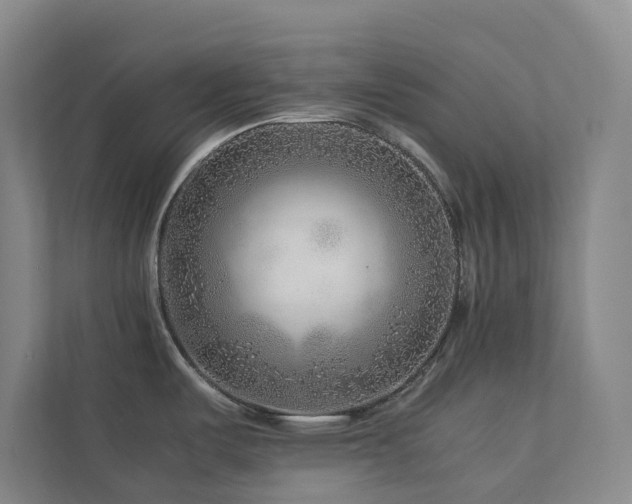 X0000112751487200908201407