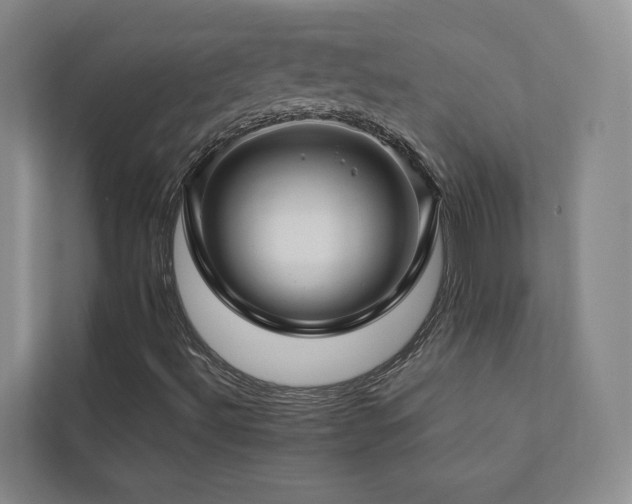 X0000112751492200908201406