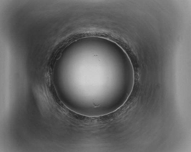 X0000112751493200908201406
