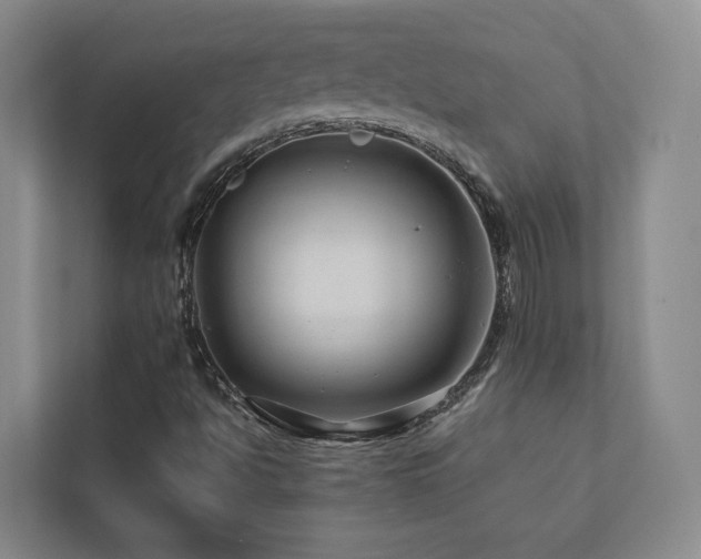 X0000112751494200908201406