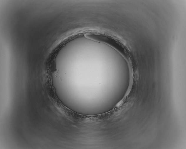 X0000112751496200908201406