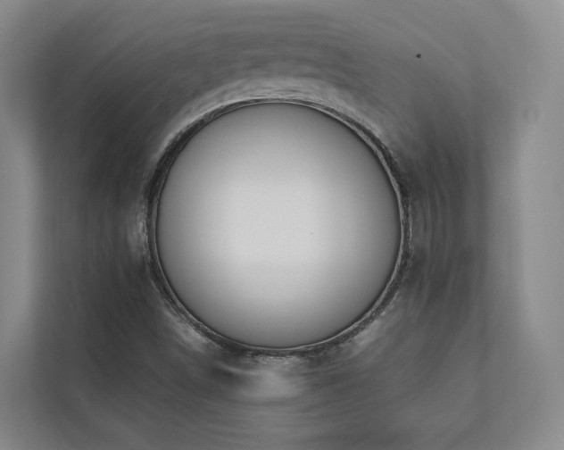 X0000112751498200908201406