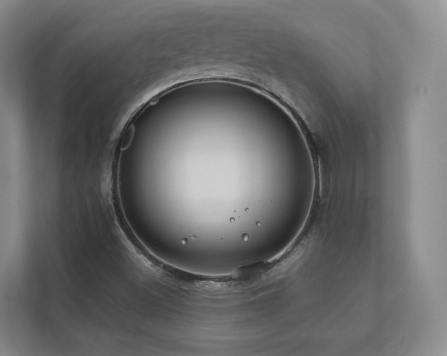 X0000112751500200908201406