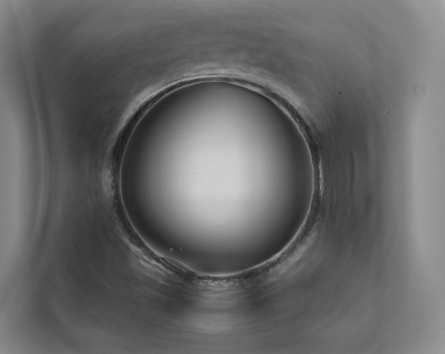 X0000112751501200908201406