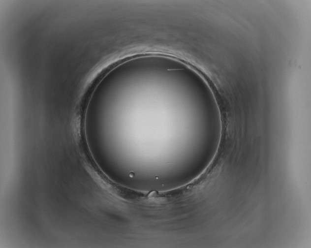 X0000112751503200908201406
