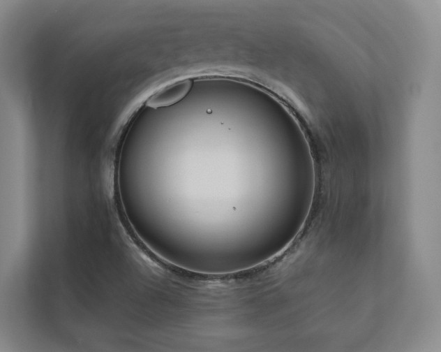X0000112751504200908201406