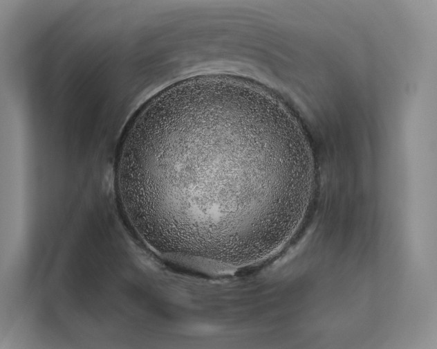 X0000112751505200908201406