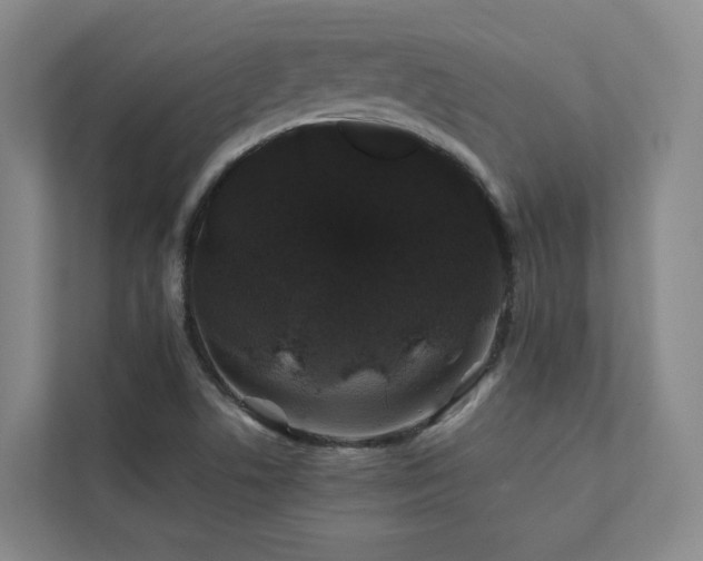 X0000112751506200908201406