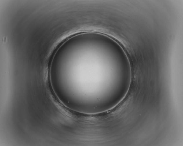 X0000112751507200908201406