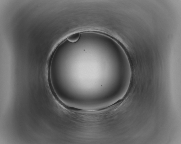 X0000112751508200908201406