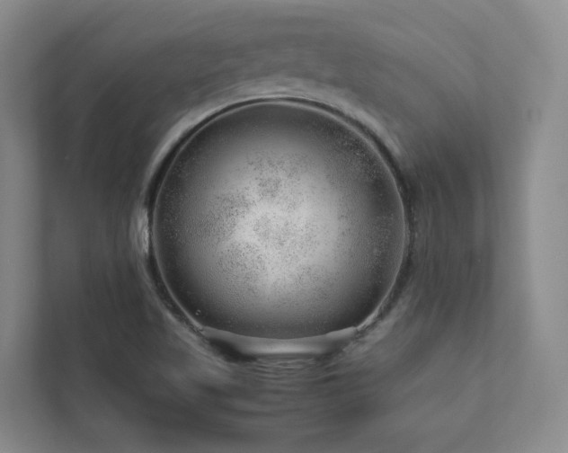 X0000112751509200908201406