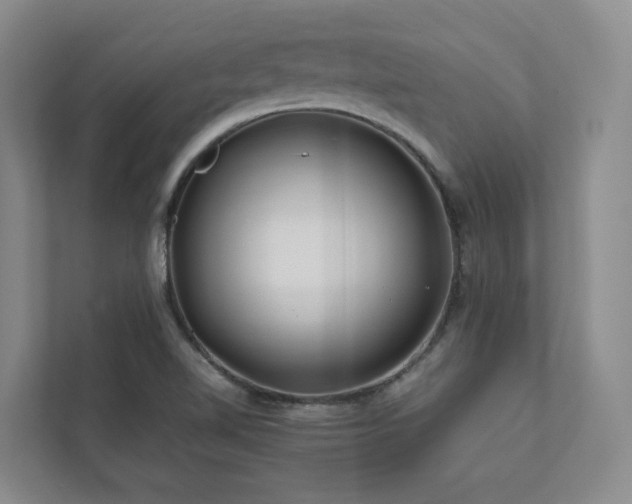 X0000112751510200908201406