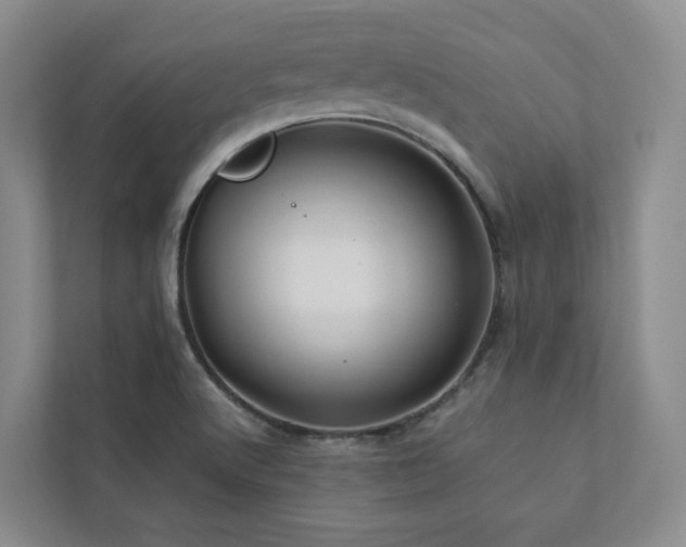 X0000112751512200908201406