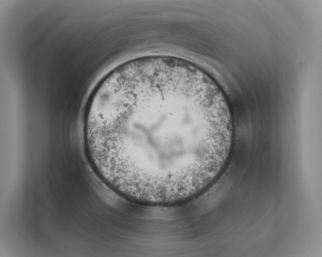 X0000112751514200908201406