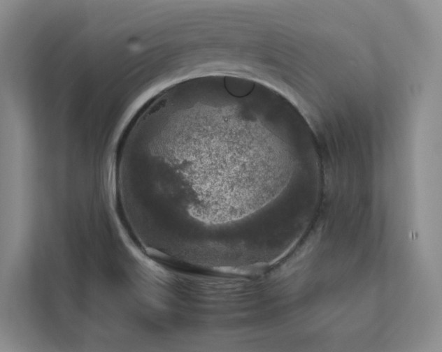 X0000112751515200908201406