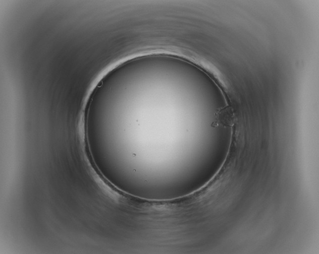 X0000112751516200908201406