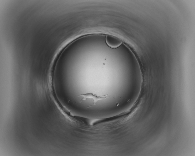 X0000112751517200908201406