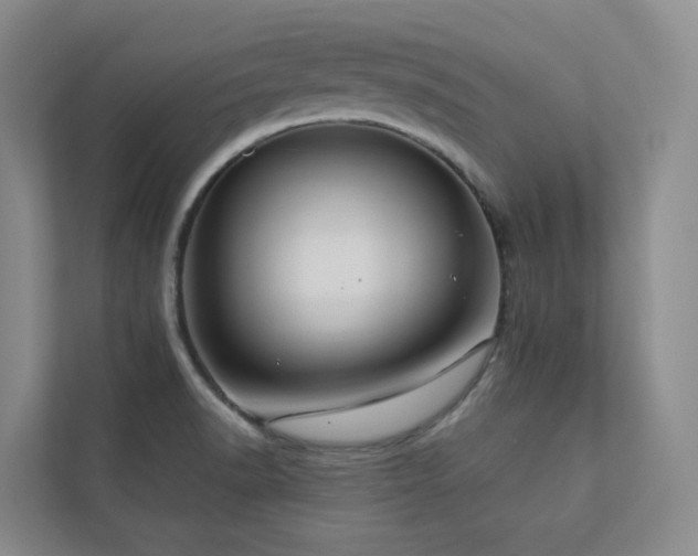 X0000112751518200908201406