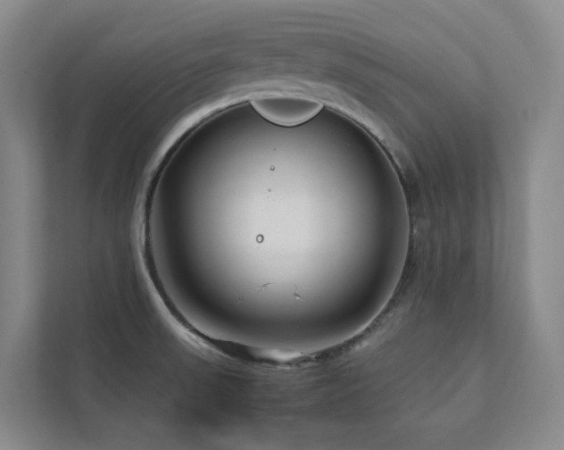 X0000112751523200908201406