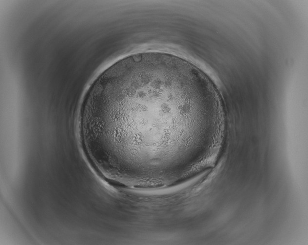 X0000112751525200908201406