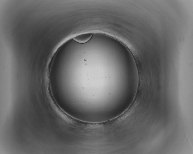 X0000112751526200908201406