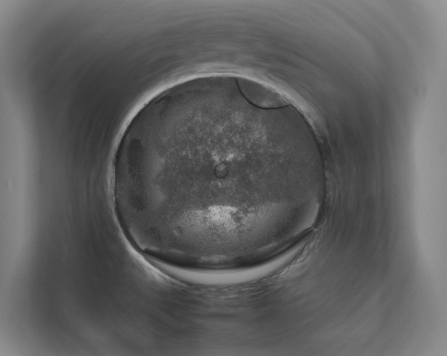 X0000112751527200908201407