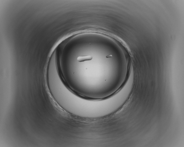 X0000112751530200908201407