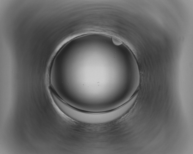 X0000112751531200908201407