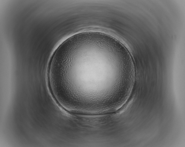 X0000112751533200908201407