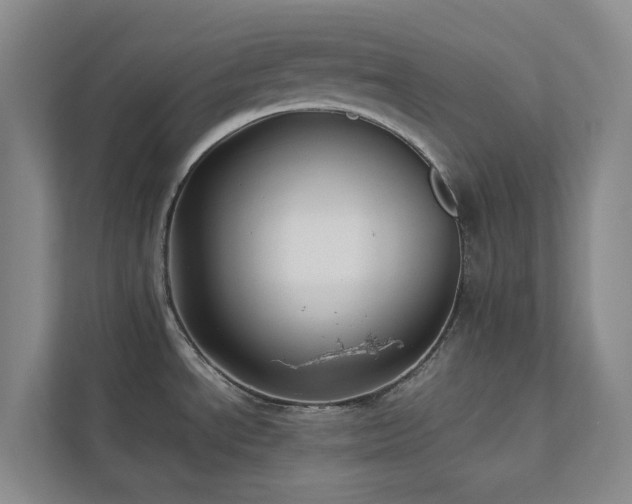 X0000112751534200908201407