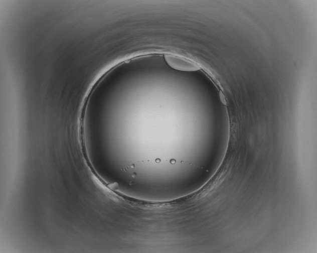 X0000112751535200908201407