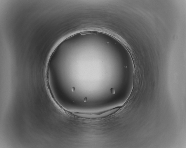 X0000112751536200908201407