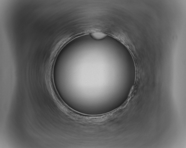 X0000112750001200908271551