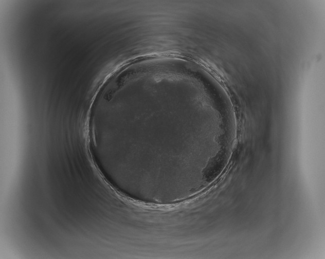 X0000112750002200908271551