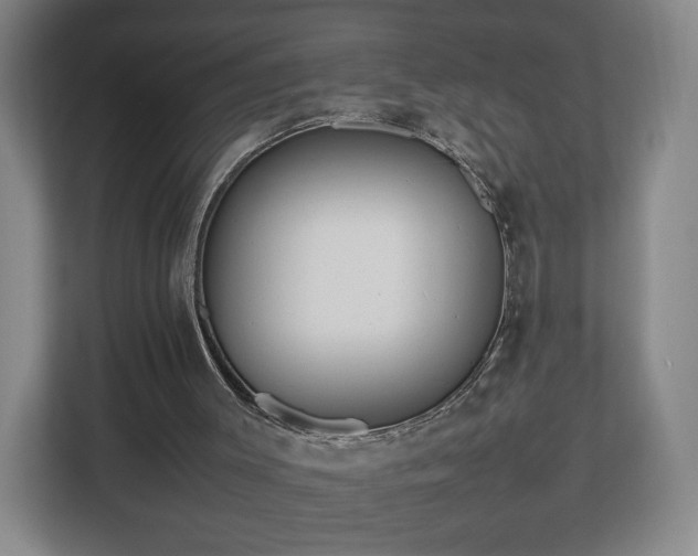 X0000112750003200908271551