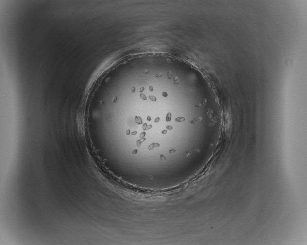 X0000112750004200908271551