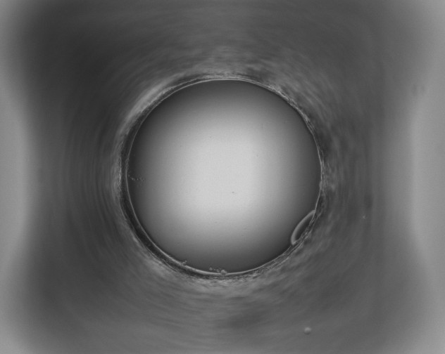 X0000112750005200908271551