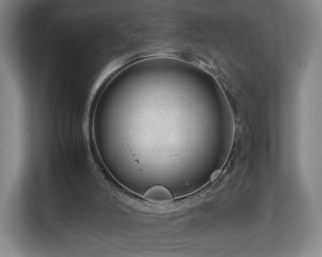 X0000112750006200908271551