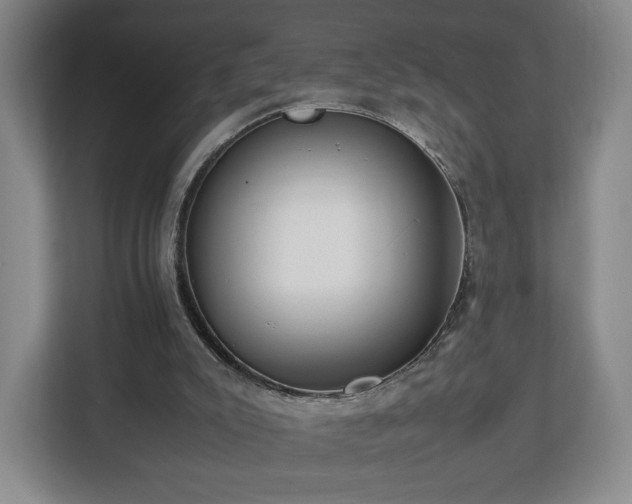 X0000112750007200908271551