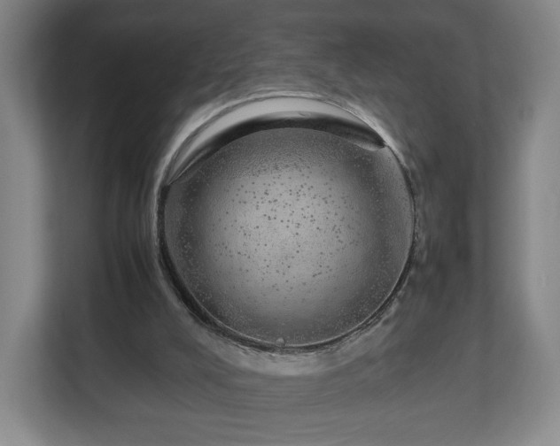 X0000112750008200908271551