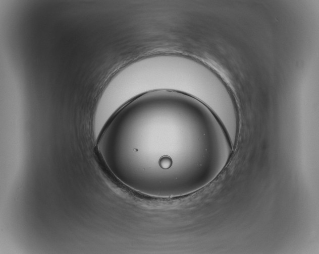 X0000112750009200908271551