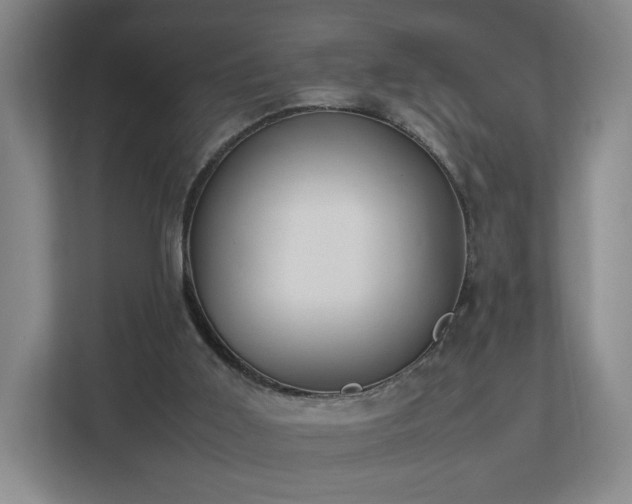 X0000112750011200908271551