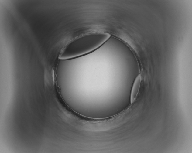 X0000112750013200908271551