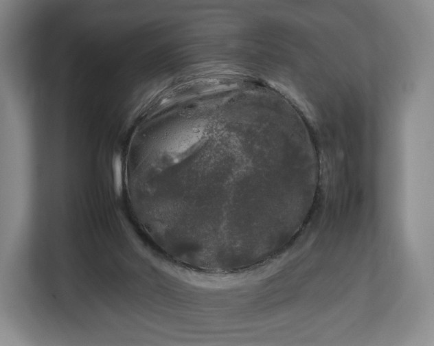 X0000112750014200908271551