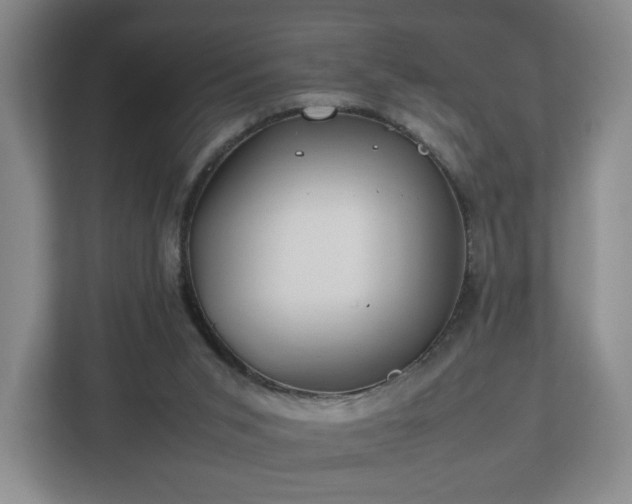 X0000112750015200908271551