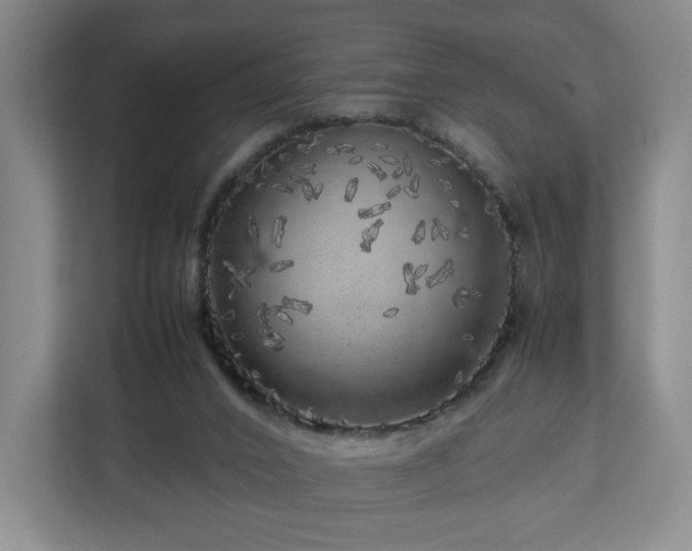 X0000112750016200908271551