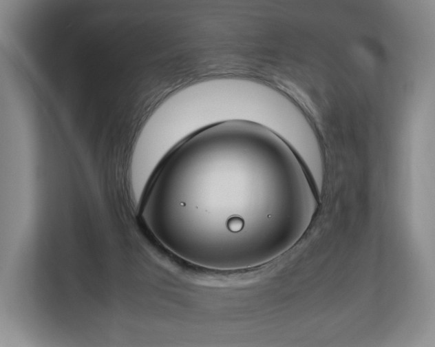 X0000112750017200908271551